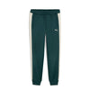 pantalone puma uomo verde 8238076