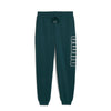 pantalone puma uomo verde 9892860