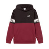 felpa puma uomo bordeaux 2636258