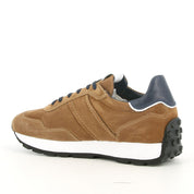 Sneakers NeroGiardini Uomo - Marrone