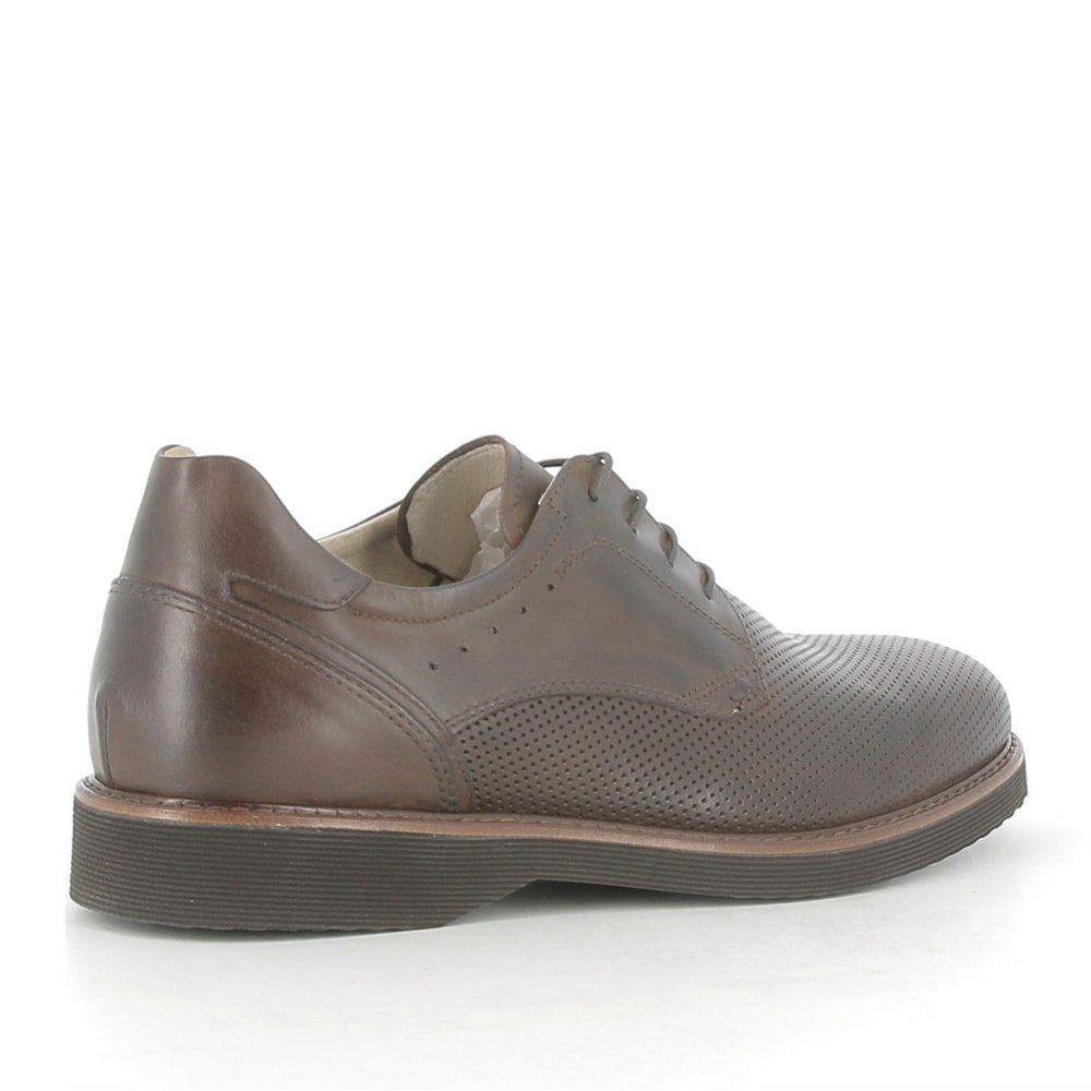 Stringata NeroGiardini Uomo - Marrone