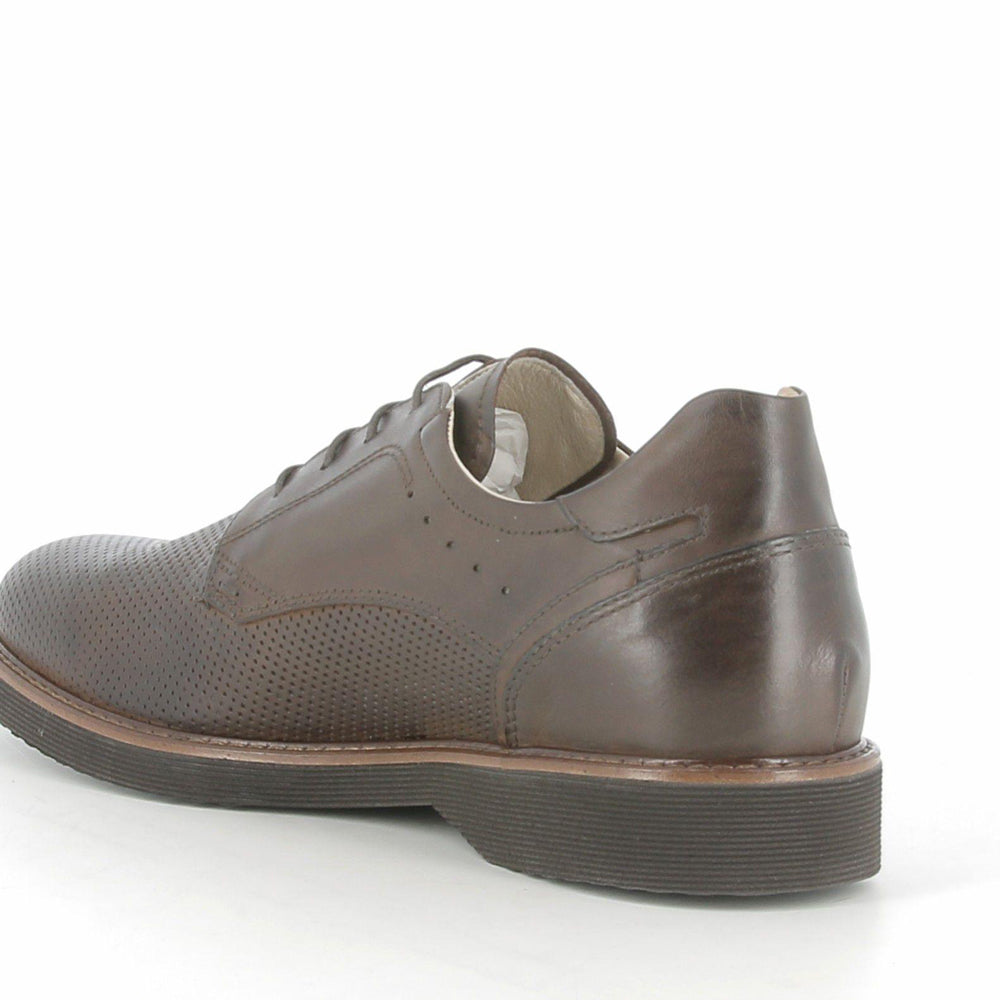 Stringata NeroGiardini Uomo - Marrone