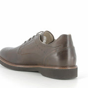 Stringata NeroGiardini Uomo - Marrone