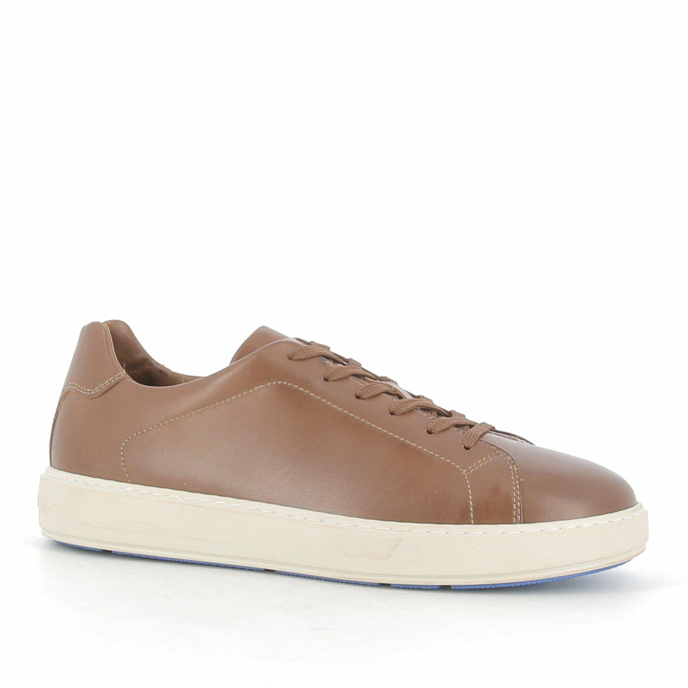 Sneakers NeroGiardini Uomo - Marrone