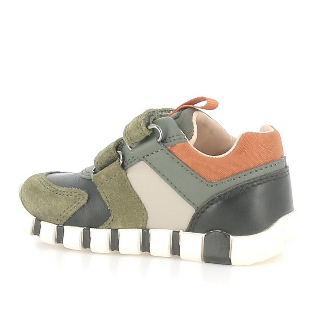 Sneakers Geox Bimbo - Verde