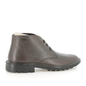 Polacco Melluso Uomo - Marrone