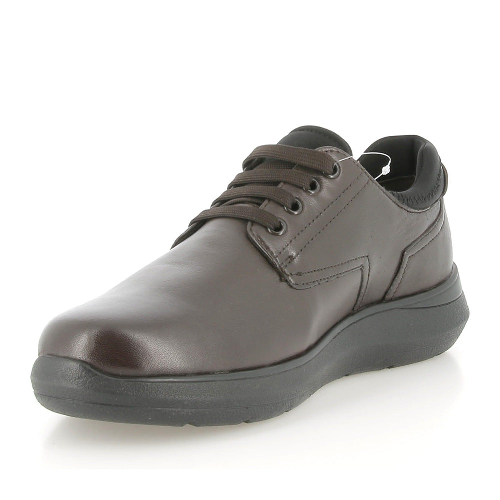 Sneakers Melluso Uomo - Marrone