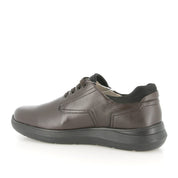 Sneakers Melluso Uomo - Marrone