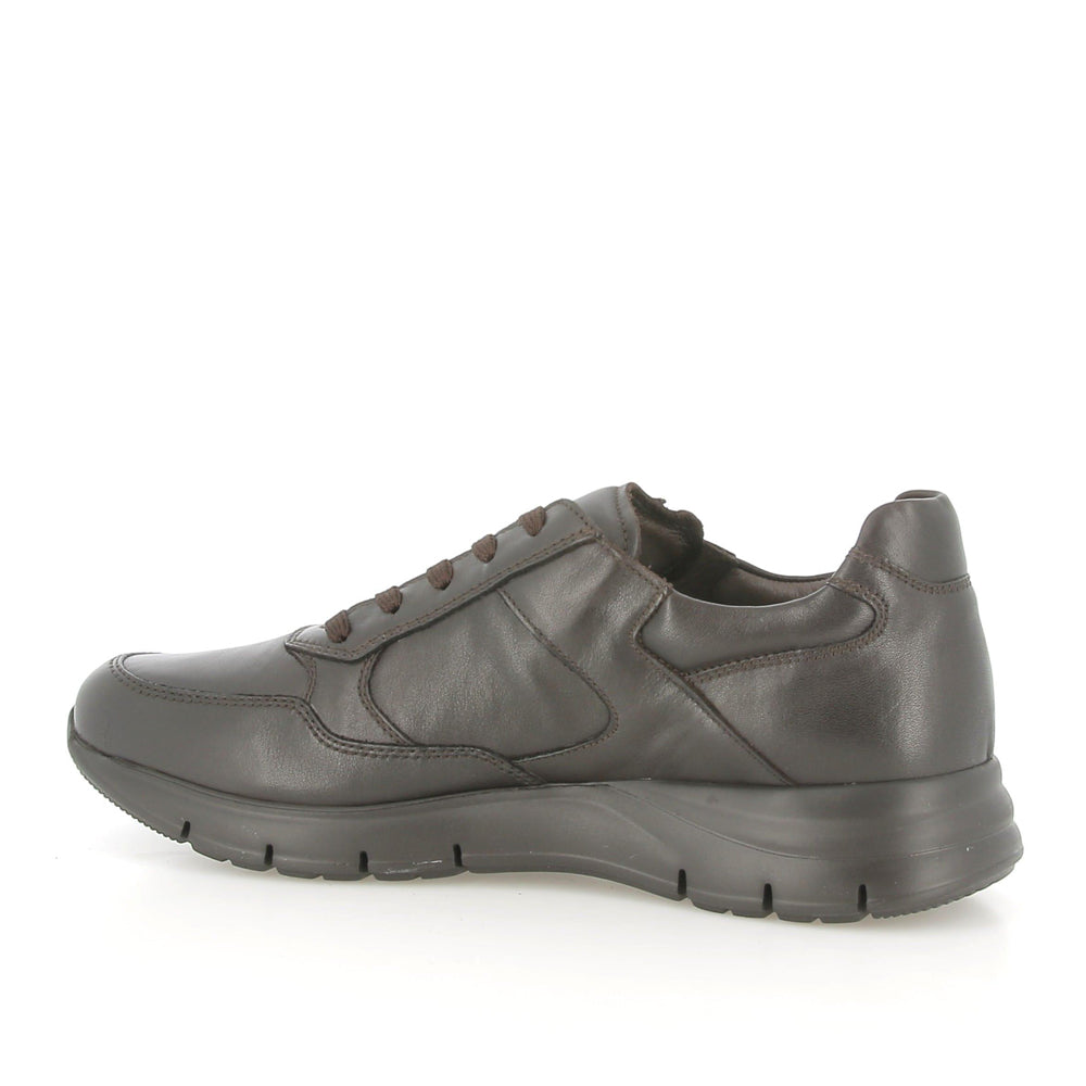 Sneakers NeroGiardini Uomo - Marrone