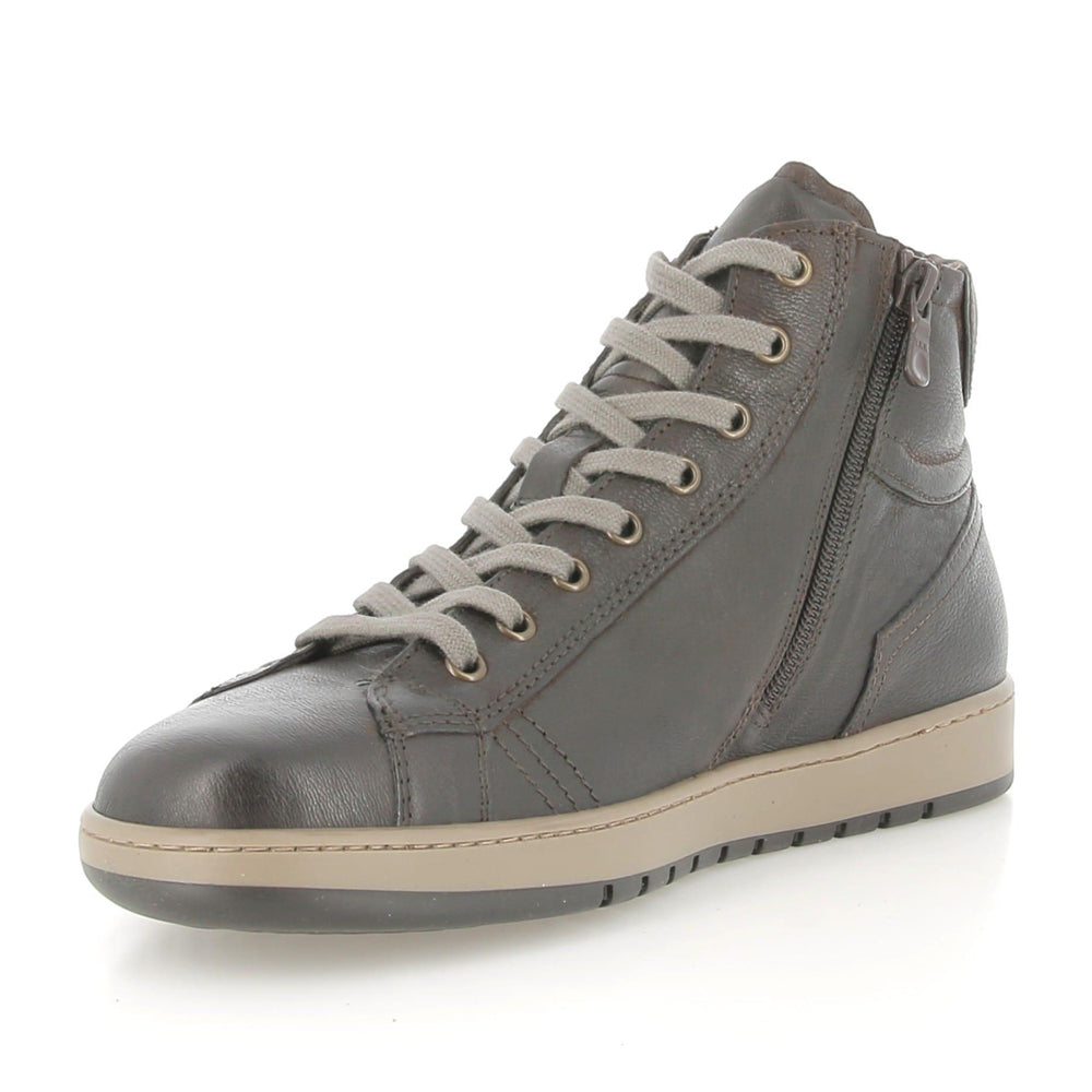 Sneakers NeroGiardini Uomo - Marrone