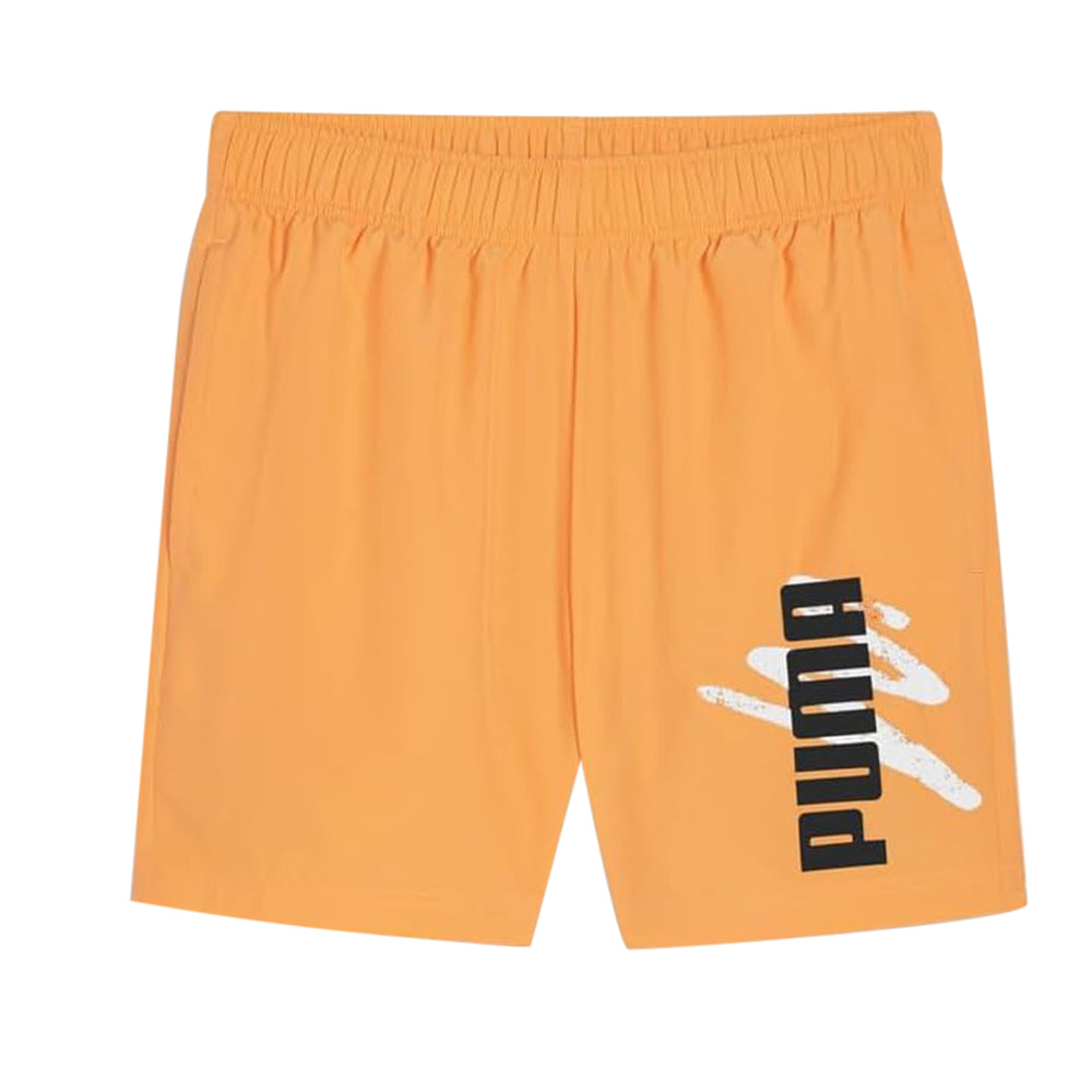 420001-puma-67899046.jpg