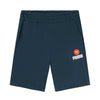 shorts puma uomo blu 1584521