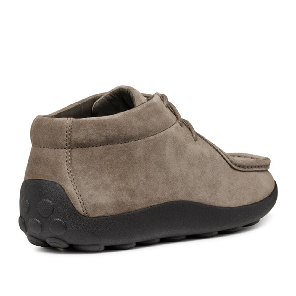 Scarpa Casual Geox Uomo - Dove Grey