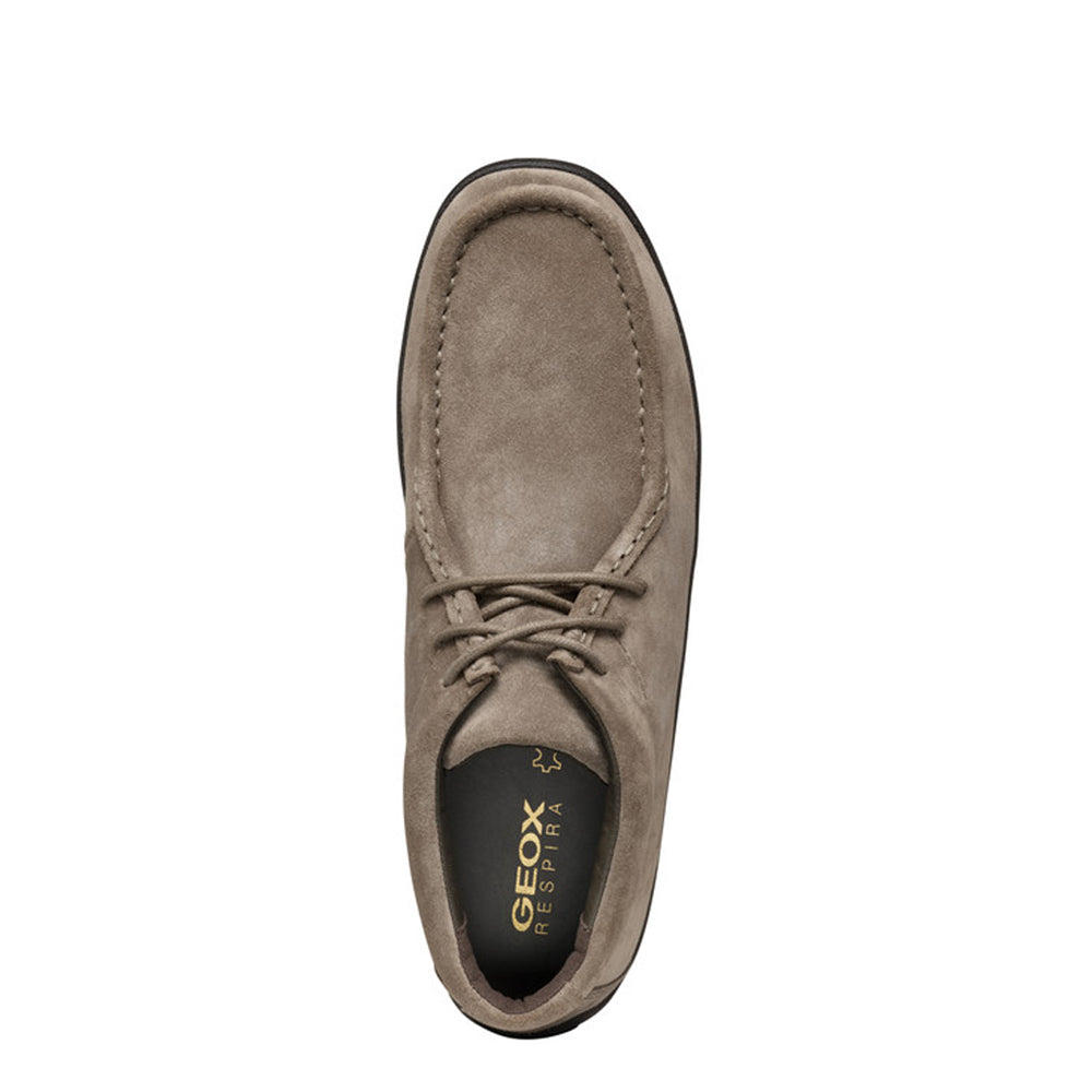 Scarpa Casual Geox Uomo - Dove Grey