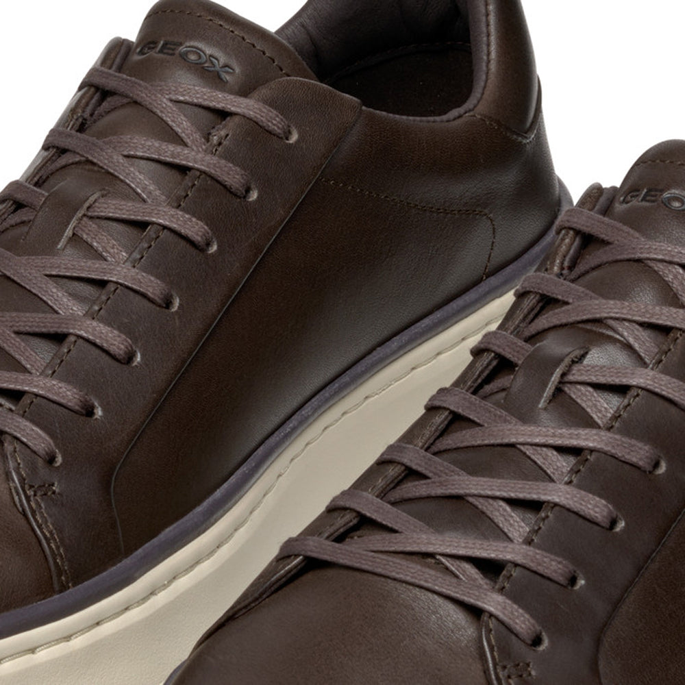 Sneakers Geox Uomo - Coffee