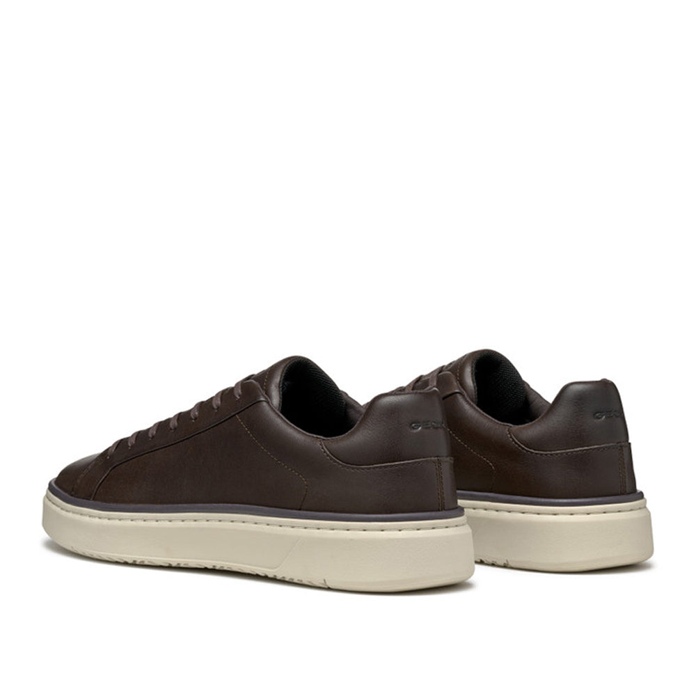 Sneakers Geox Uomo - Coffee