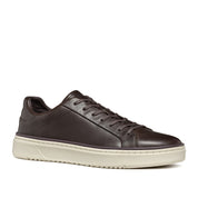 Sneakers Geox Uomo - Coffee