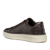 Sneakers Geox Uomo - Coffee