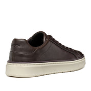 Sneakers Geox Uomo - Coffee