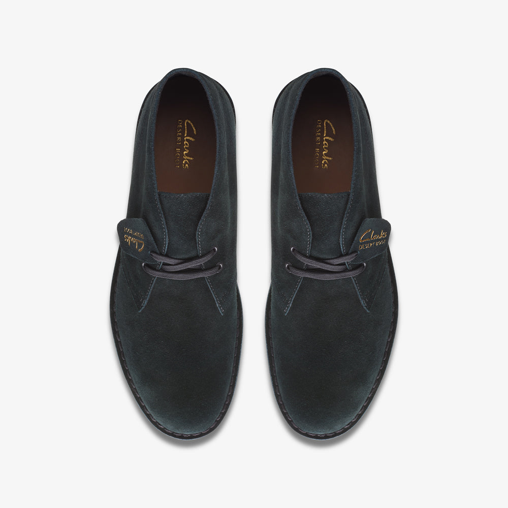 Polacco Clarks Desert Bot Evo Uomo - Blu