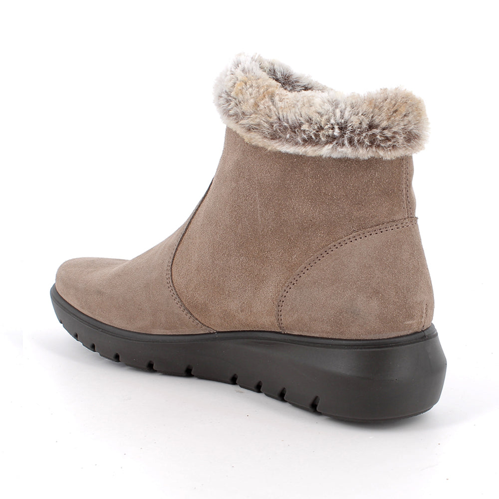 Stivaletto Enval Donna - Marrone