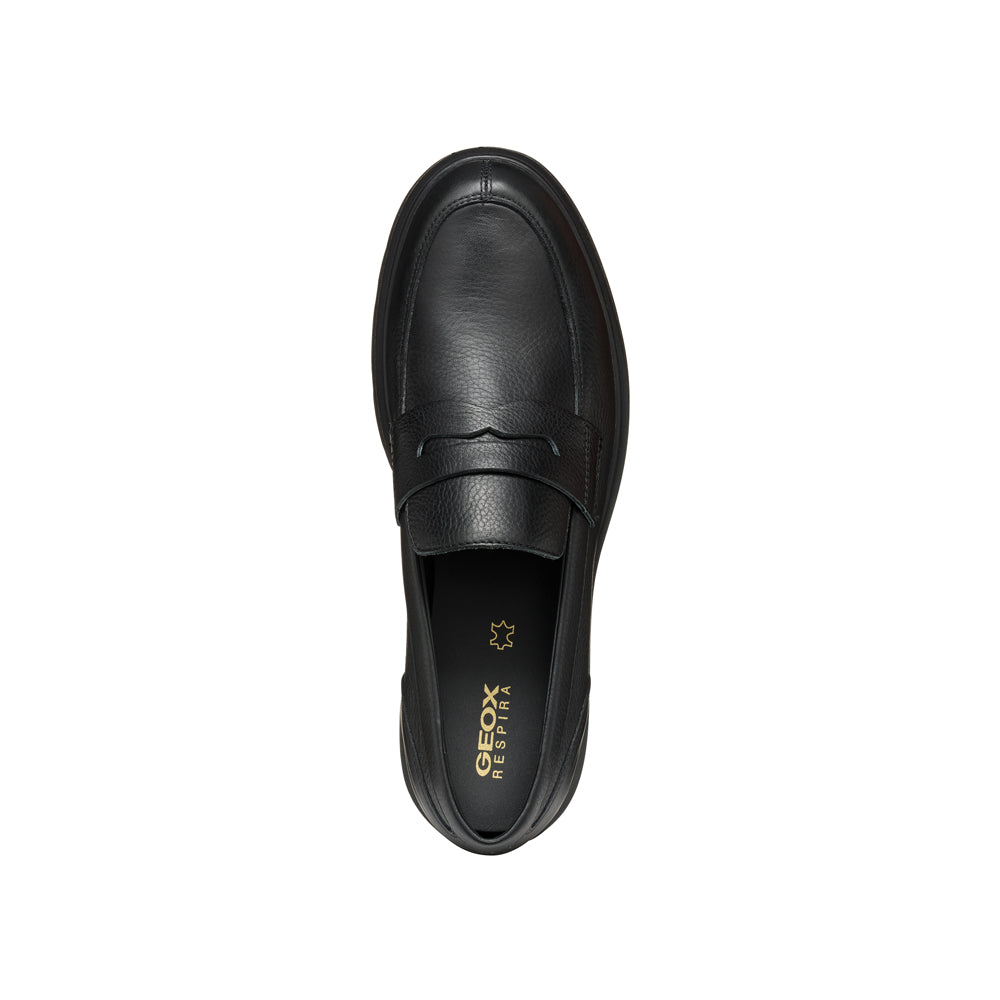 Polacco Geox Ottavio Uomo - Marrone