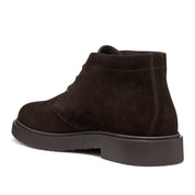 Polacco Geox Massimiano Uomo - Marrone