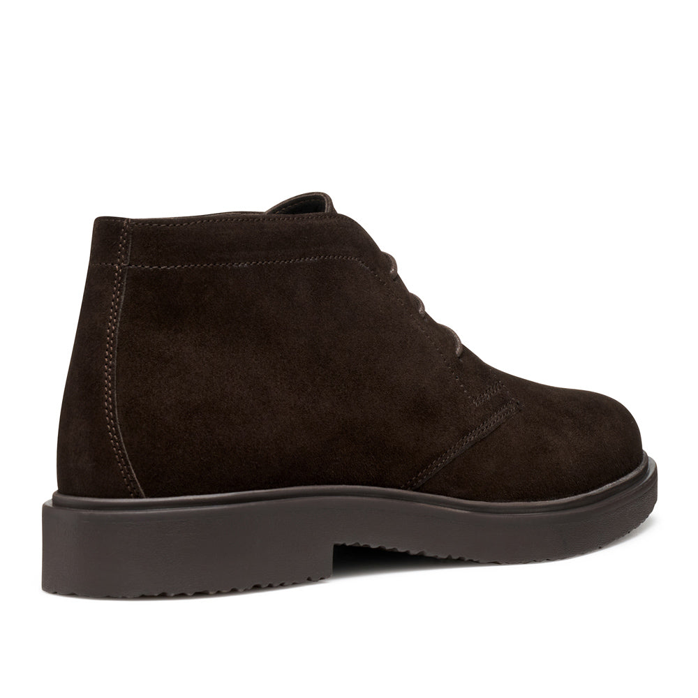 Polacco Geox Massimiano Uomo - Marrone