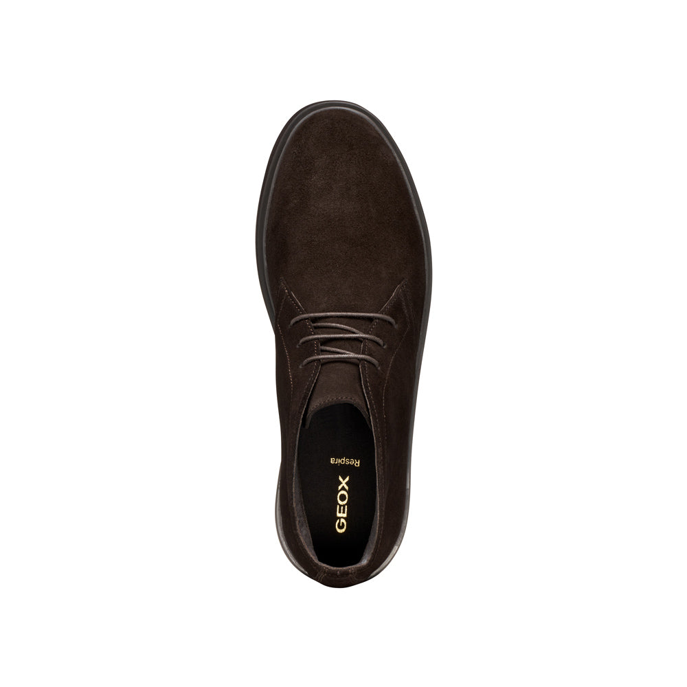 Polacco Geox Massimiano Uomo - Marrone