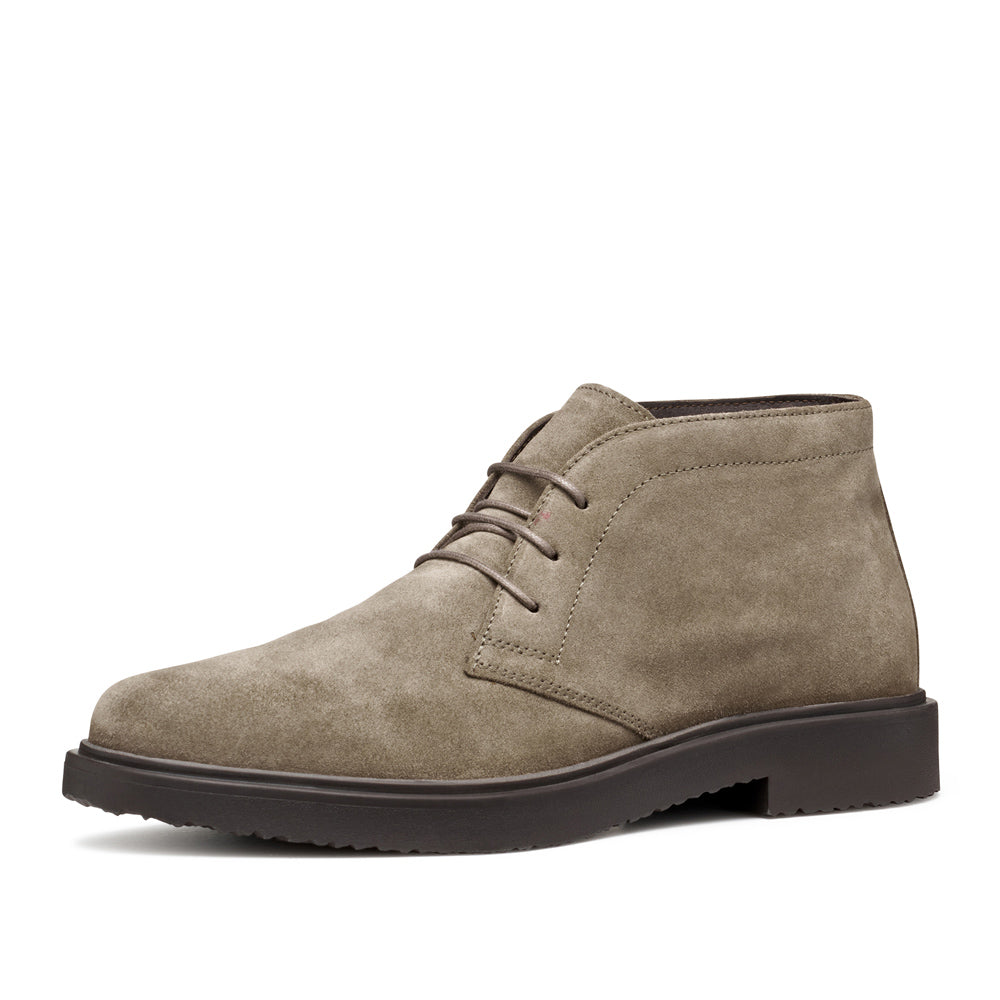 Polacco Geox Massimiano Uomo - Beige