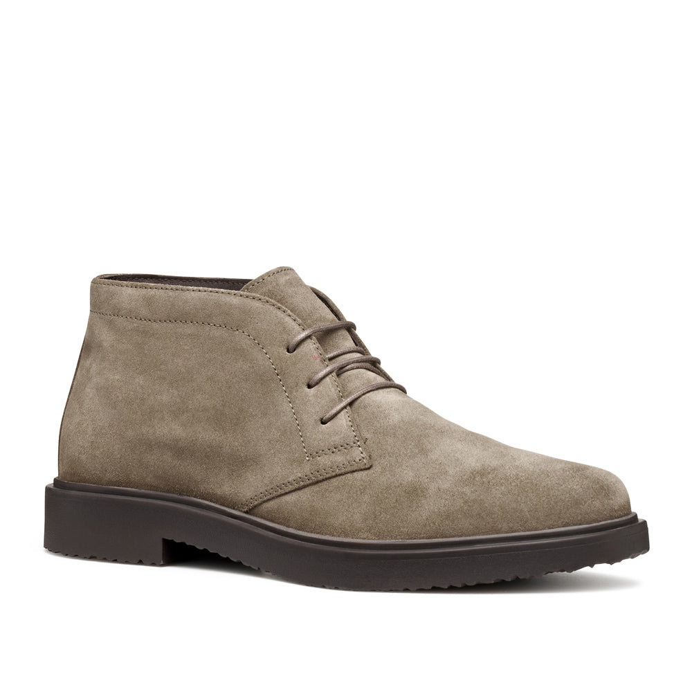 Polacco Geox Massimiano Uomo - Beige