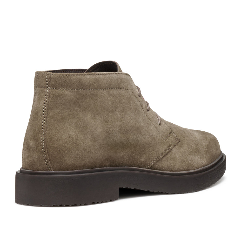 Polacco Geox Massimiano Uomo - Beige