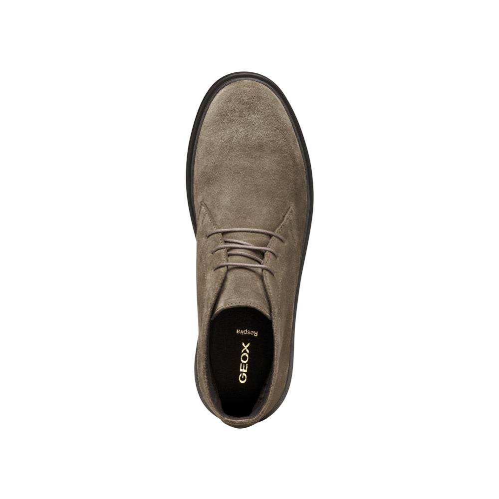Polacco Geox Massimiano Uomo - Beige