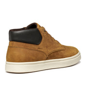 Sneakers Geox Baltmoore Uomo - Beige