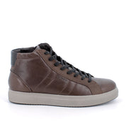 Sneakers Igi&Co Uomo - Marrone