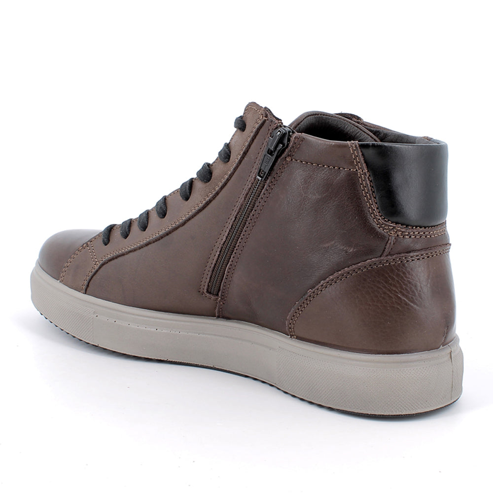 Sneakers Igi&Co Uomo - Marrone