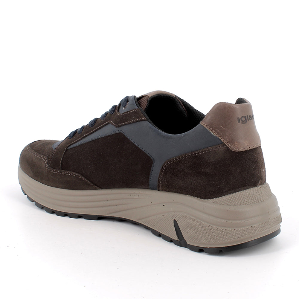 Sneakers Igi&Co Uomo - Marrone