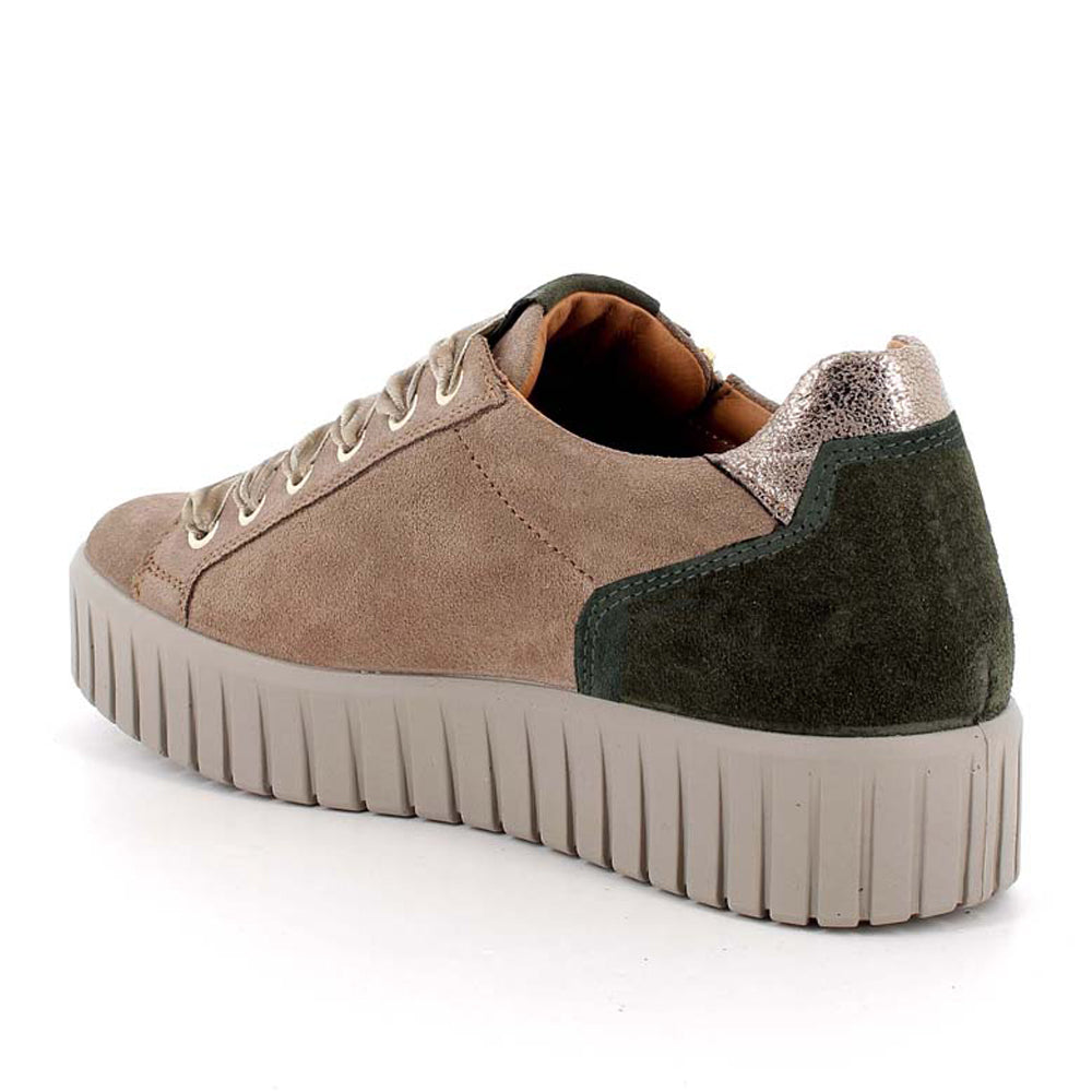 Sneakers Igi&Co Donna - Marrone