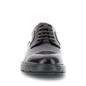 Stringata Stonefly Uomo - Marrone