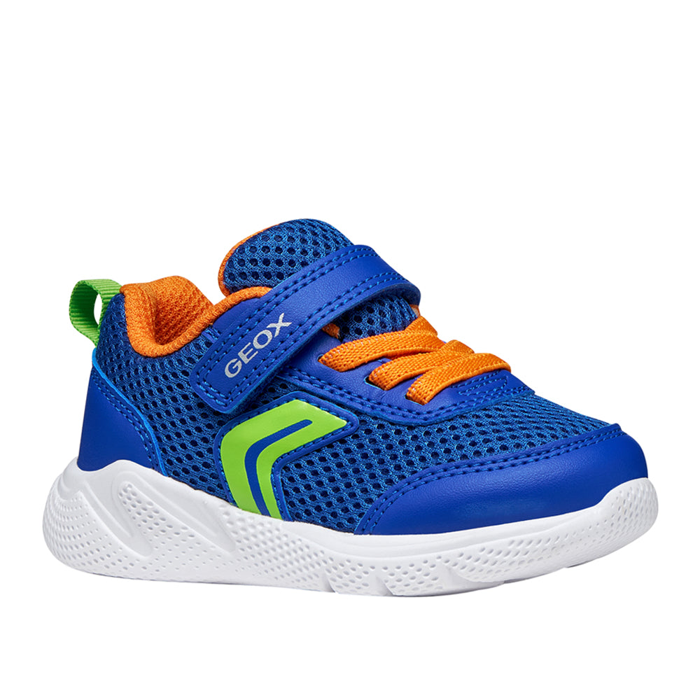 Sneakers Geox Sprintye Bimbo - Blu