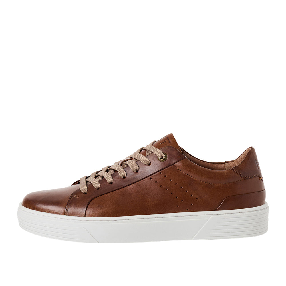 Sneakers Marco Tozzi Uomo - Marrone