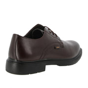 Stringata G.M. Venturi Uomo - Marrone