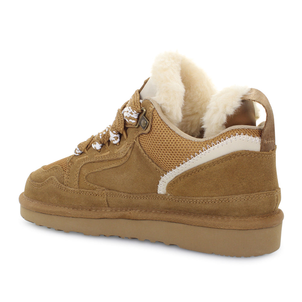 Sneakers Lumberjack Elvira Donna - Marrone