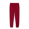 pantalone puma uomo rosso 2276648
